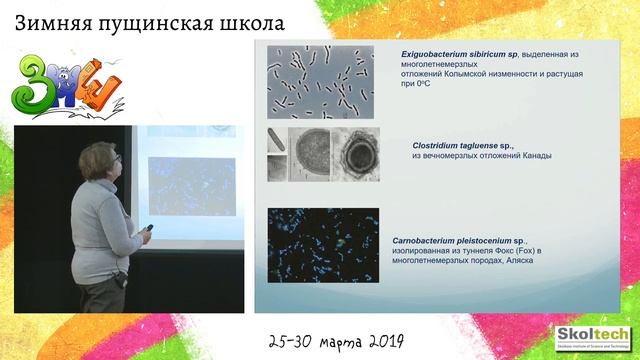 Лекция «Вечная мерзлота и её обитатели» | Прямая трансляция с Зимней Пущинской Школы