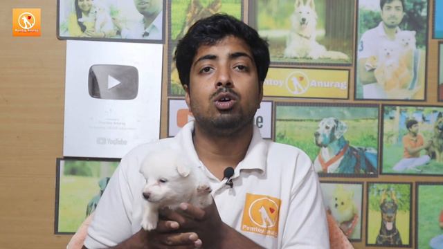 Dog को liver tonic देने के पहले जरूर देखें! смотреть онлайн