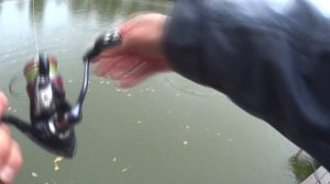 Рыбалка осенью ловля форели на магот.