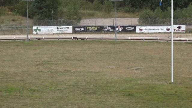 2022-09-11 - Race 9 - MB Höstmedel (W) смотреть онлайн