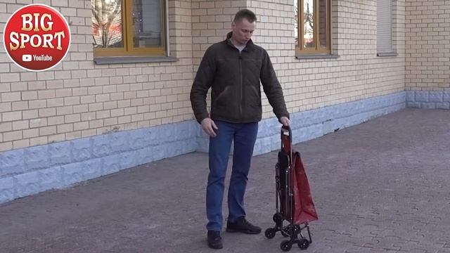 Какая лучше Какие колёса выбрать Сумка тележка видео обзор Купить по ссылке в описании можно смотреть онлайн