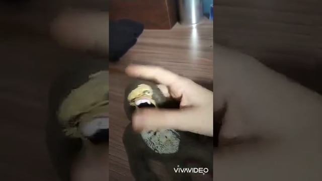 Игрушка "Монстр Тянучка" смотреть онлайн