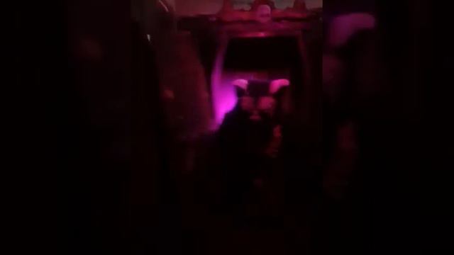 Поход в комнату страха смотреть онлайн