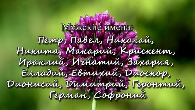 10 июня – именины сегодня отмечают смотреть онлайн