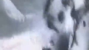 Песня О Настоящем Индейце из ОПГ Новокуйбышевска
