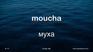 Самые важные чешские слова и фразы по темам для начинающих. Учим чешский язык на автопилоте.