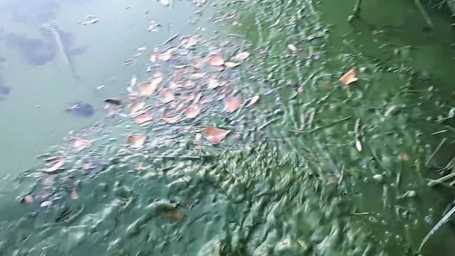 РАЗОШЛИСЬ С САШЕЙ В РАЗНЫЕ СТОРОНЫ........ смотреть онлайн