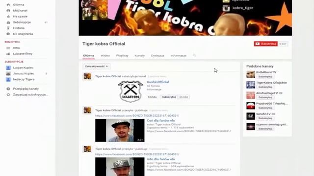 Ogunie to instrukcja pokazująca jak zależy anulować subskrypcję jego kanału Tigera смотреть онлайн