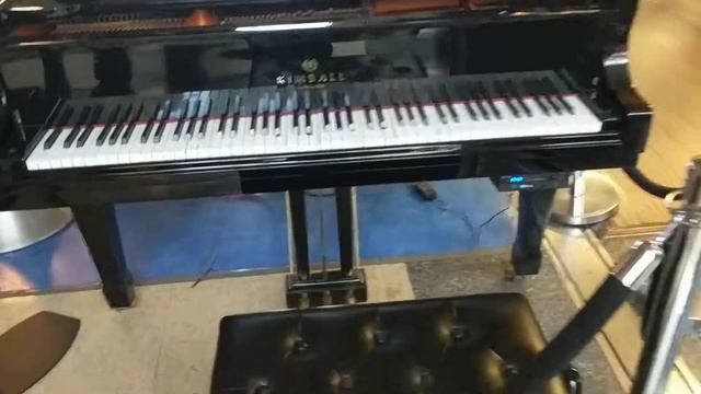 Самоиграющее пианино в аэропорту Вашингтона. 16 августа, 2017. #приколы #отдых #путешествия #funny смотреть онлайн