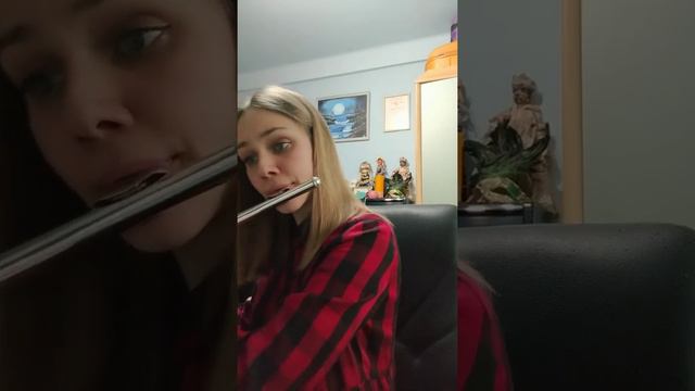 Й.С.Бах–Соната 4 для флейты 2 ч. смотреть онлайн