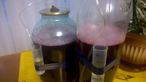 Водяной затвор для вина