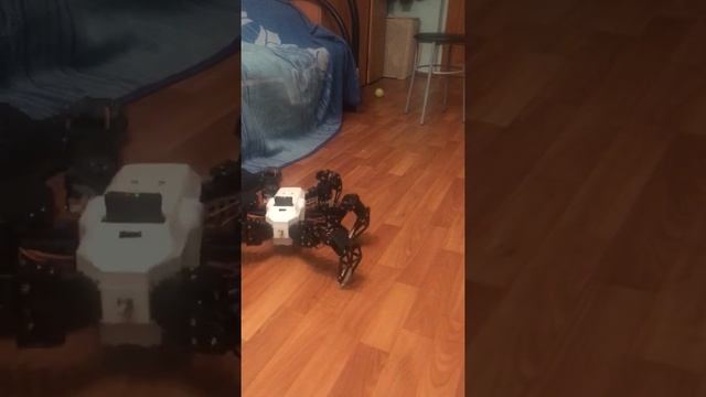 Arduino робот Hexapod. Шестиногий робот паук