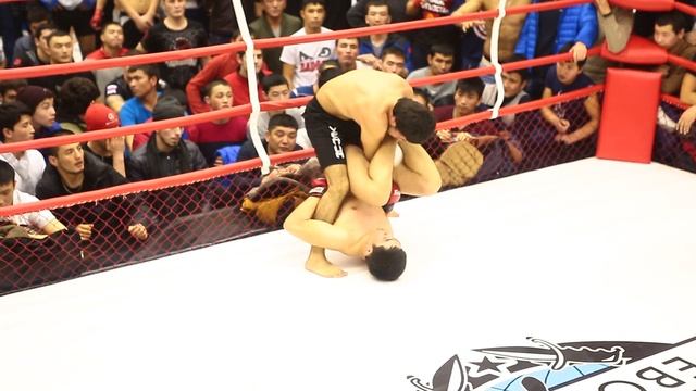 7.02.16 Проф Боевое Самбо «КУБОК МОСКВЫ» Новички смотреть онлайн