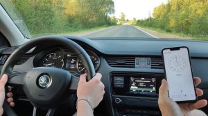 БИТВА ЛОШАДЕЙ. МАТРЁШКА ПРОТИВ ОКТАВИИ