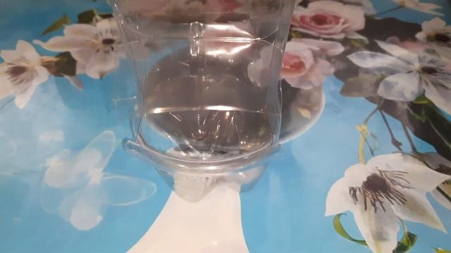 Как сделать кормушку для птиц из бутылки Coca-Cola / Своими руками / Автокормушка