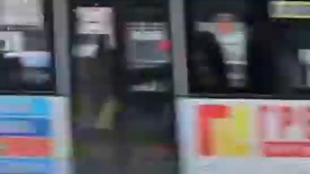 Соленья. Теория заговора.