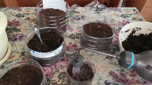 Правильный посев баклажанов. Мой личный опыт по выращиванию рассады баклажан смотреть онлайн