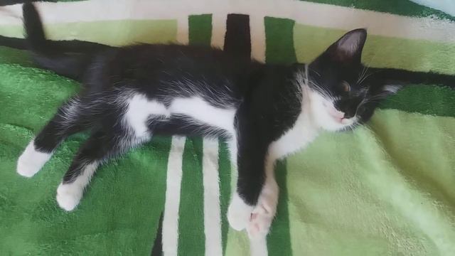 Думал спит с открытыми глазами) смотреть онлайн