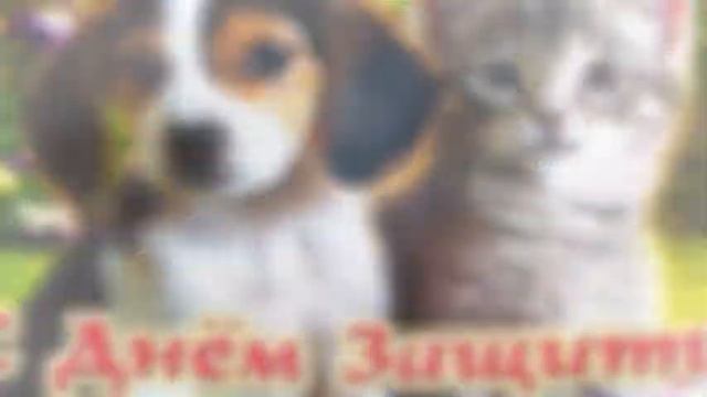 Всемирный день животных смотреть онлайн