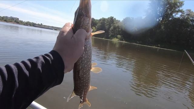 Рыбалка на спиннинг с лодки, хорошо отработала моя новинка тейл-спиннер!.mkv смотреть онлайн