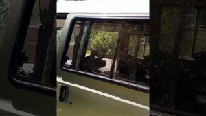 Vanlife начало