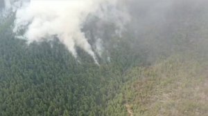 Селемджинский поселок Токур спасают от природных пожаров. Видео t.me/selemdzhinsky_district