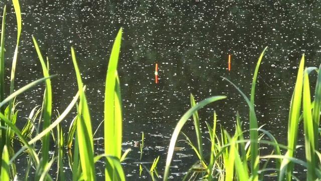 Эта самоделка косит всю рыбу! Прикормка для рыбалки больше не нужна будет!
