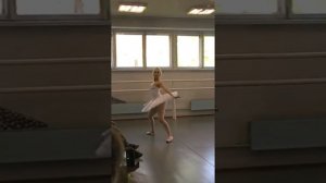 умирающий лебедь