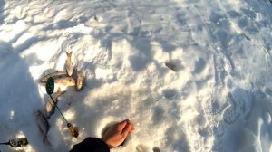 Клёвая рыбалка на Етыпуре !Ловля язя на мормышку!