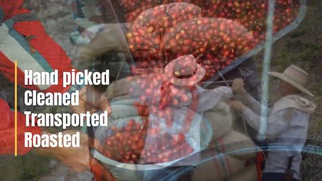 Java Bean Coffee смотреть онлайн