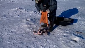 Горьковское водохранилище 2017г