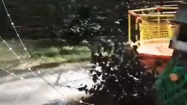 Красивое место для отдыха в Воронеже #Принц# Часть 2 продолжение смотреть онлайн