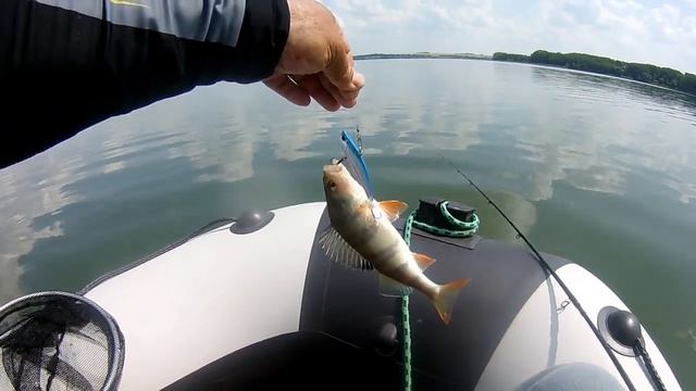 За крупным окунем в жару.Окунь на виб смотреть онлайн