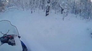 Arctic cat 570 xt отдых 18 01 15