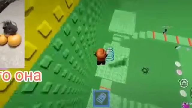 История Морской Свинки🐹 смотреть онлайн