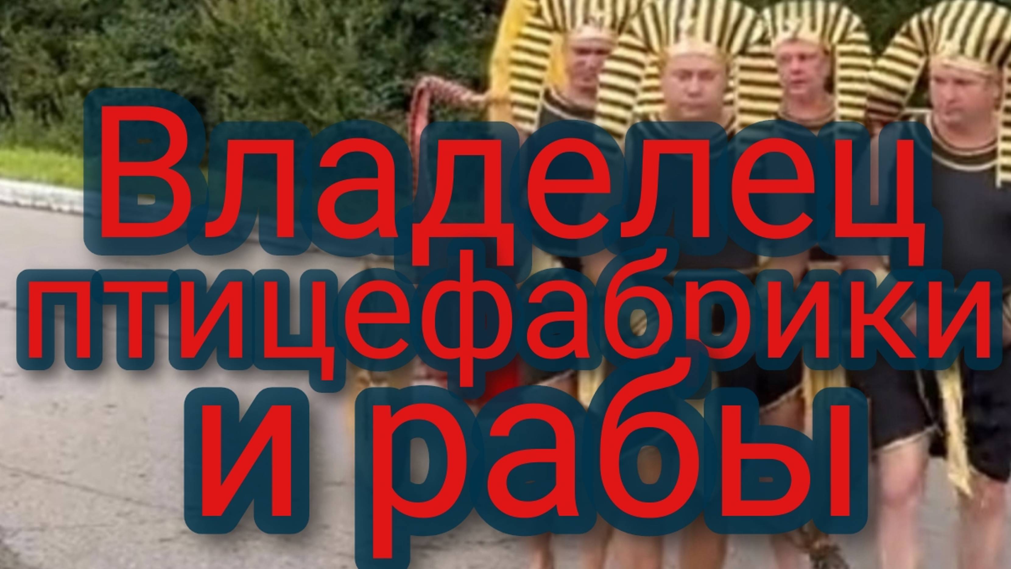 Полицейские задержали толпу закавказцев / Владелец птицефабрики  и его рабы
