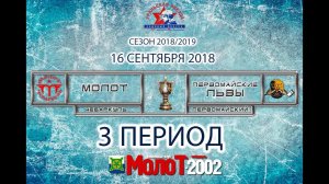 ХК "МОЛОТ"02-03 Чебаркуль - ХК "ПЕРВОМАЙСКИЕ ЛЬВЫ"02-03 Первомайский. 3 период