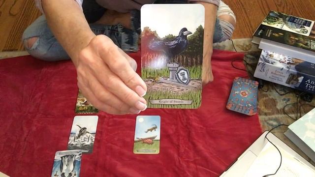 Michael Cohen's Book Disloyal, Queen Melania! Druid Animal Oracle Cards смотреть онлайн