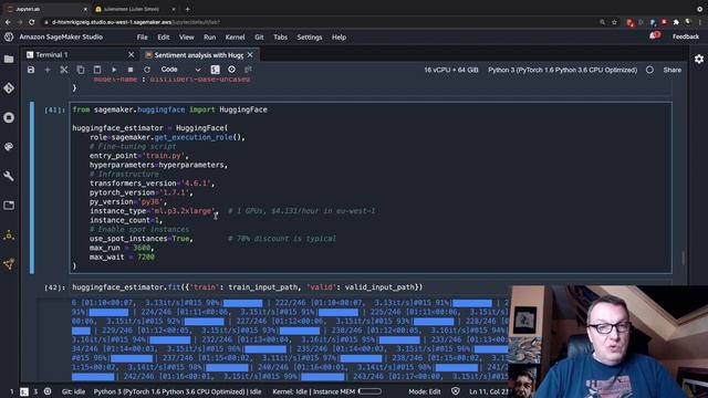 NLP models: from the Hugging Face hub to Amazon SageMaker... and back! смотреть онлайн