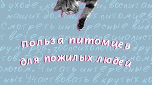 Какую пользу приносят питомцы пожилым людям?