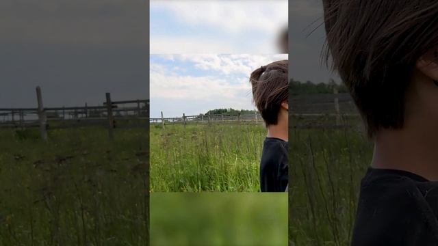 Нелегка жизнь коновода. ?
И чтобы два раза не бегать!