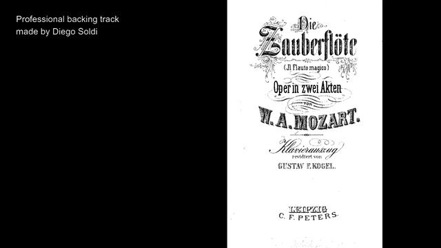 W. A. Mozart "Der Hölle Rache" Aria - Backing Track SAMPLE смотреть онлайн