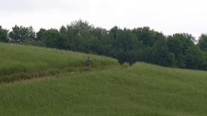 Сладости из клубники Азербайджанская Кухня Деревенская Кухня  Рецепты