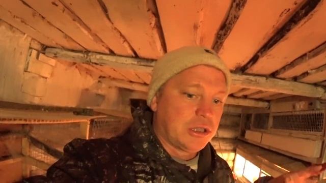 Инкубация цыплят осенью А стоит ли выращивать? Деревенская жизнь зауральского подворья