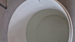 тест виброподвесов саундгар, акустик груп с обычным подвесом. шумоизоляция звукоизоляции квартиры.