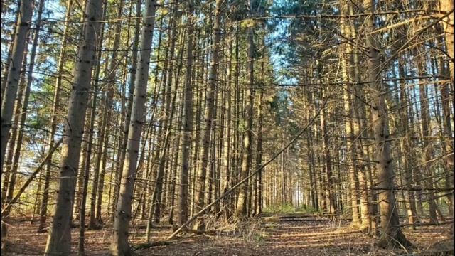 Мне счастья в жизни большего не надо. Христианская песня. Это Бог меня нашёл! смотреть онлайн