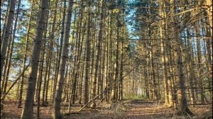 Мне счастья в жизни большего не надо. Христианская песня. Это Бог меня нашёл!