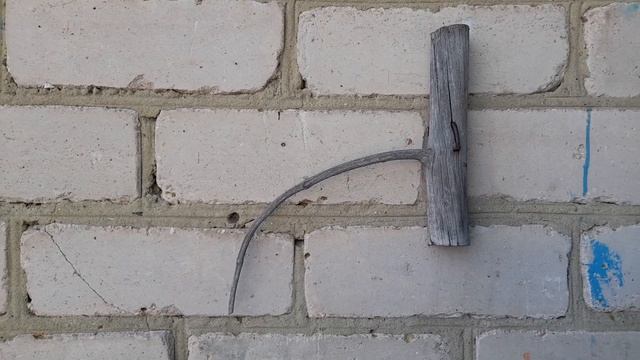 Барометр природный.