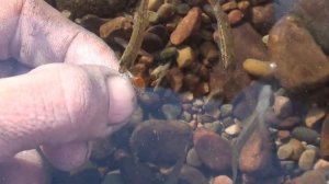 Природа Башкортостана