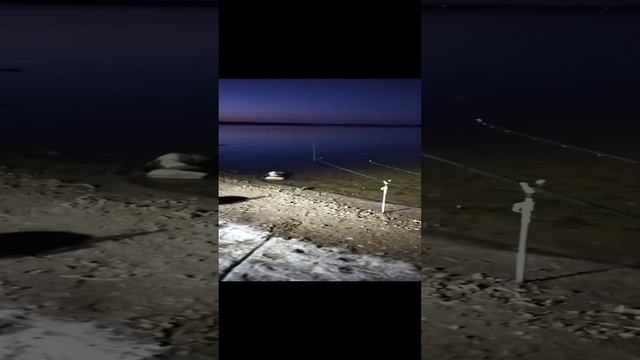 Наше освещение фидеров. смотреть онлайн